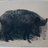 2 Boar